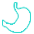 消化系統(tǒng)